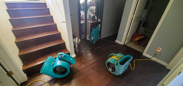 Best Water damage mitigation services  in Milliken, CO
