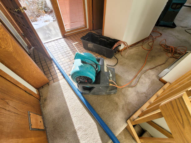  Milliken, CO Water damage restoration Pros