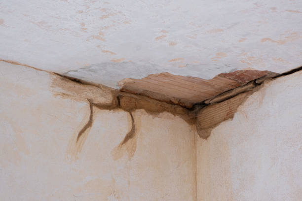 Best Emergency water damage restoration  in Milliken, CO