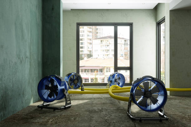 Best Commercial water damage restoration  in Milliken, CO
