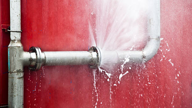 Best Carpet water damage restoration  in Milliken, CO